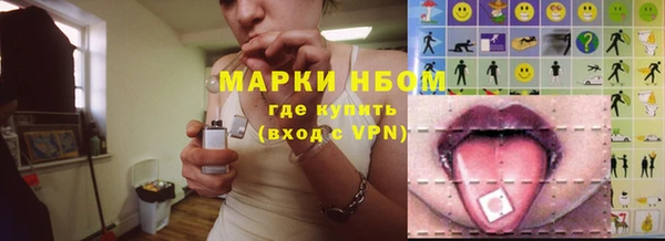 сатива Алзамай