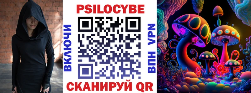 Галлюциногенные грибы Psilocybe Цимлянск